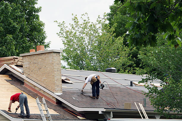 Best Roof Insulation Installation  in Steamboat Springs, CO